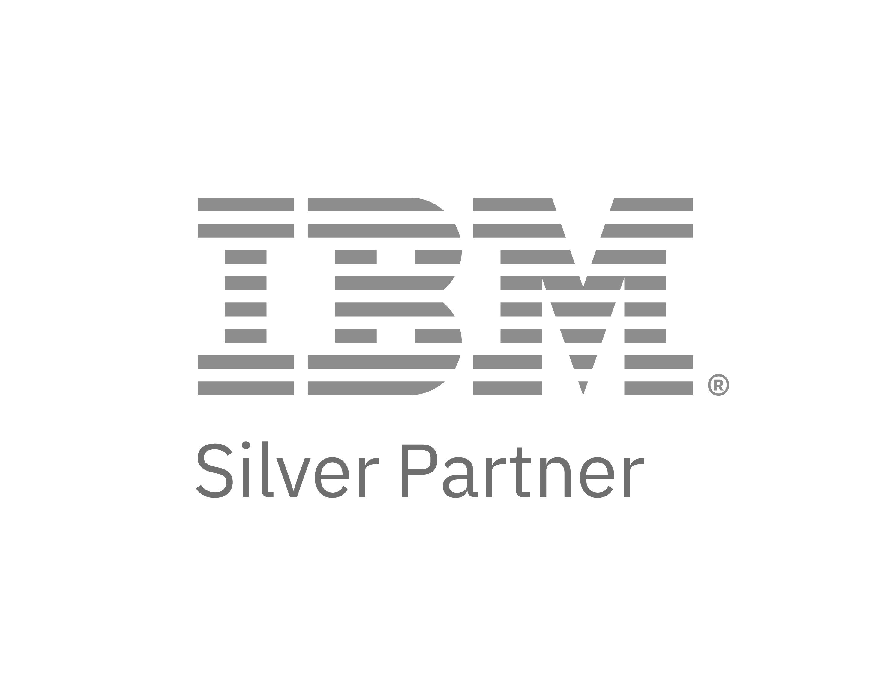 IBM Partner Plus silver partner